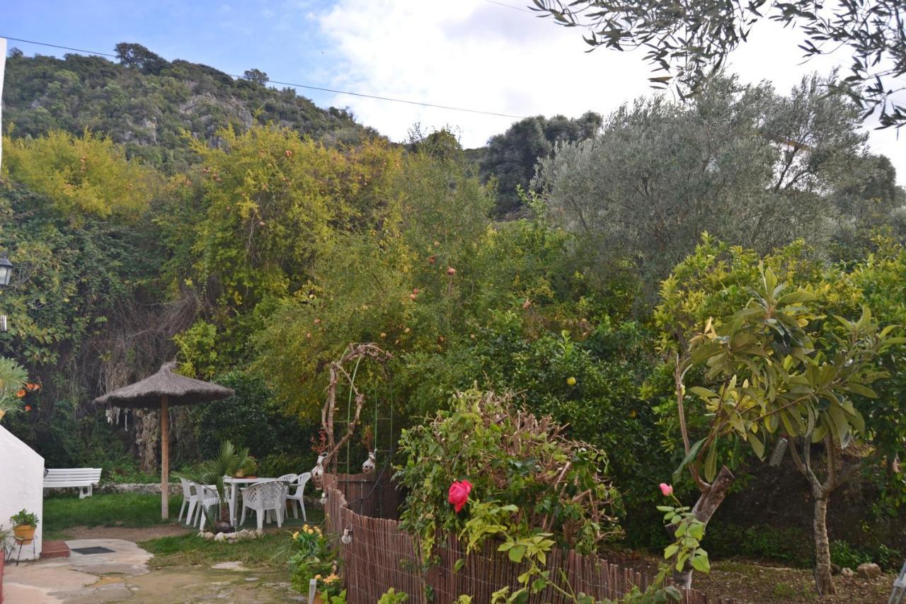 Casa La Cascada Villa El Bosque Eksteriør billede