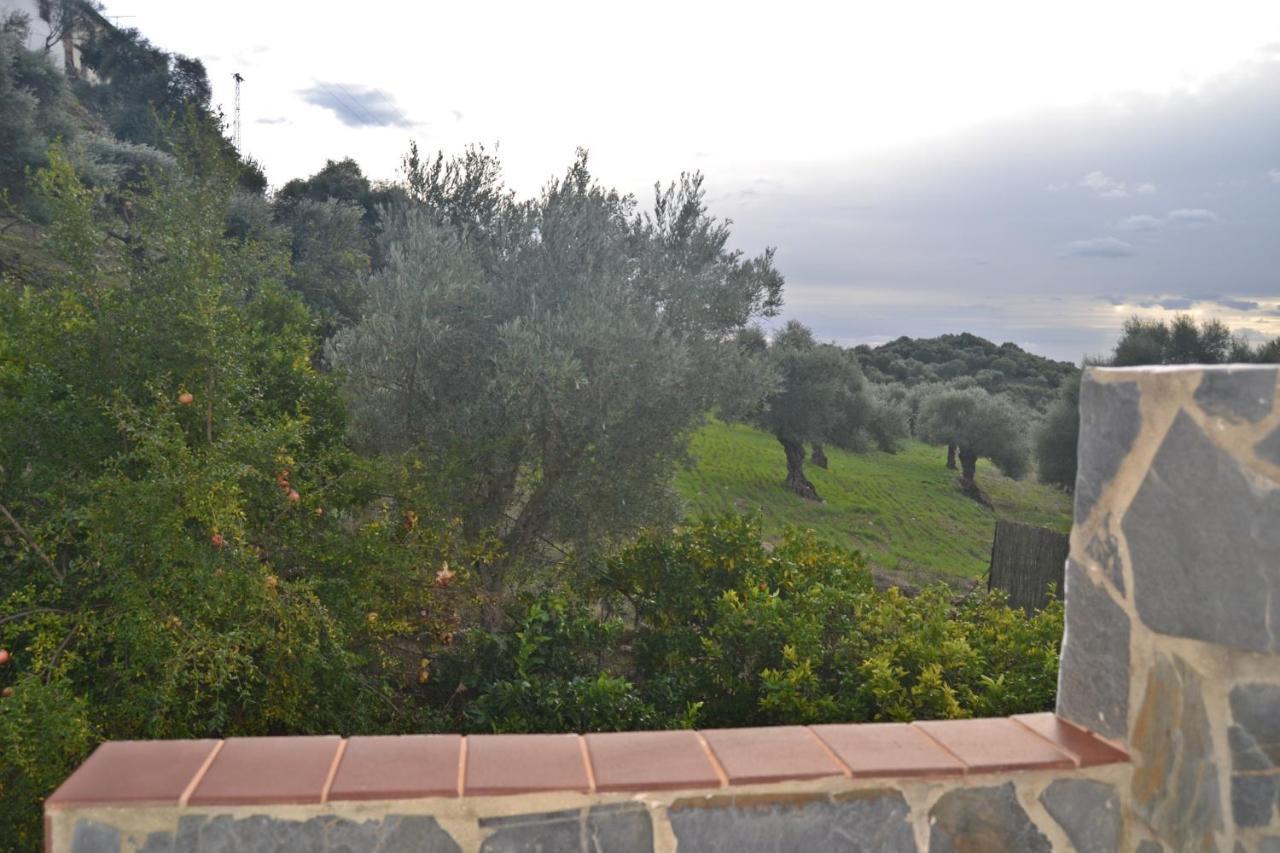 Casa La Cascada Villa El Bosque Eksteriør billede