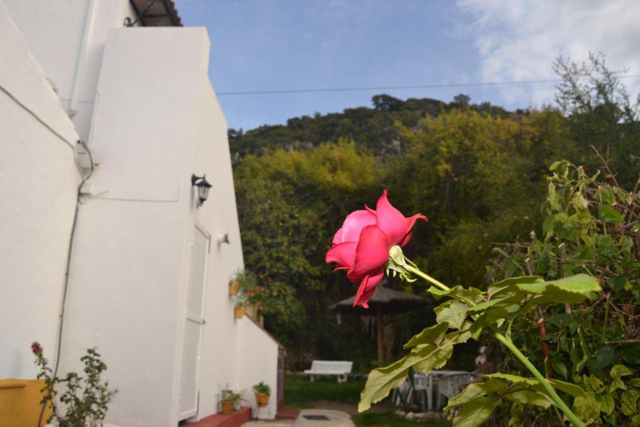 Casa La Cascada Villa El Bosque Eksteriør billede